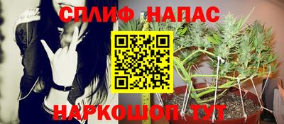спайс Кулебаки