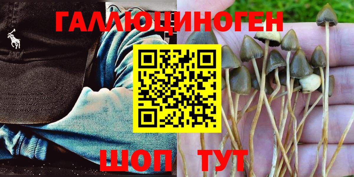 Галлюциногенные грибы GOLDEN TEACHER Фрязино