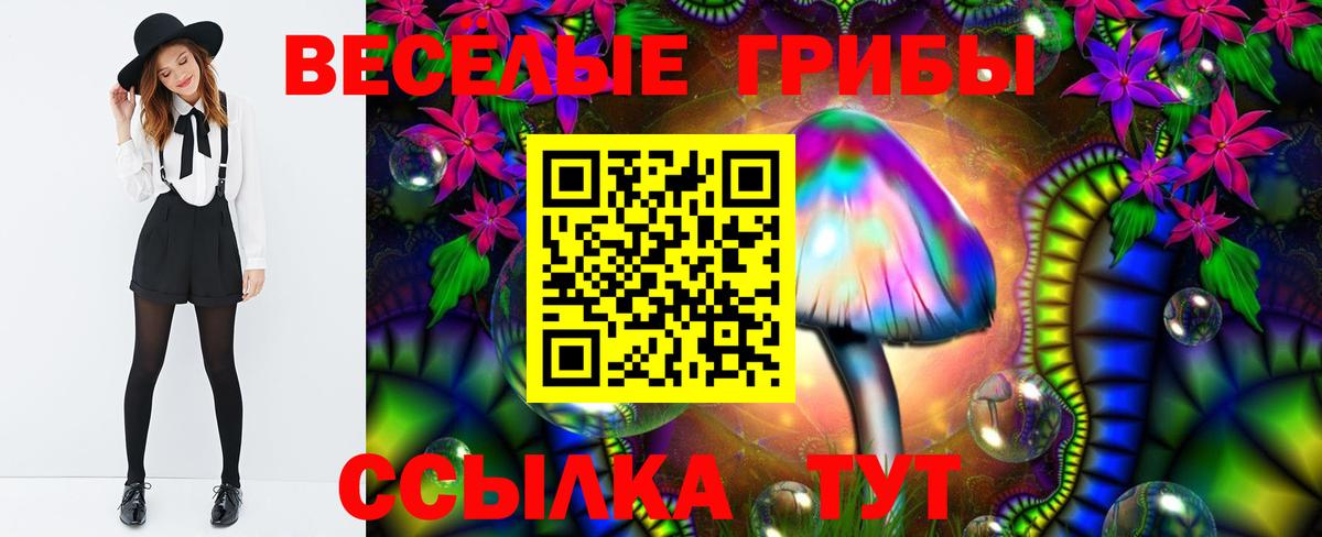 Фрязино  Псилоцибиновые грибы Magic Shrooms  Вход с VPN  Псилоцибиновые грибы прущие грибы 