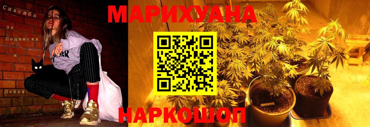 МАРИХУАНА план  Конопля OG Kush  Марихуана SATIVA & INDICA  Вход с VPN  Фрязино  Конопля THC 21% 